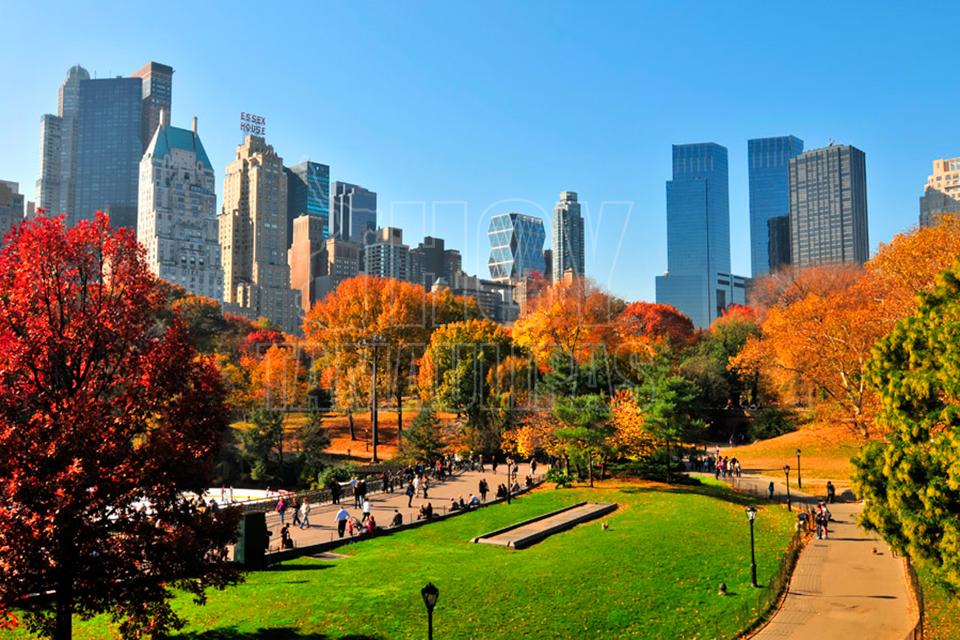 Hoy Tamaulipas Un Herido Por Explosion En Parque Central De Nueva York