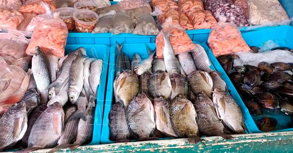 Hoy Tamaulipas - Monterrey Garantizado el abasto de pescados y mariscos en  la Cuaresma