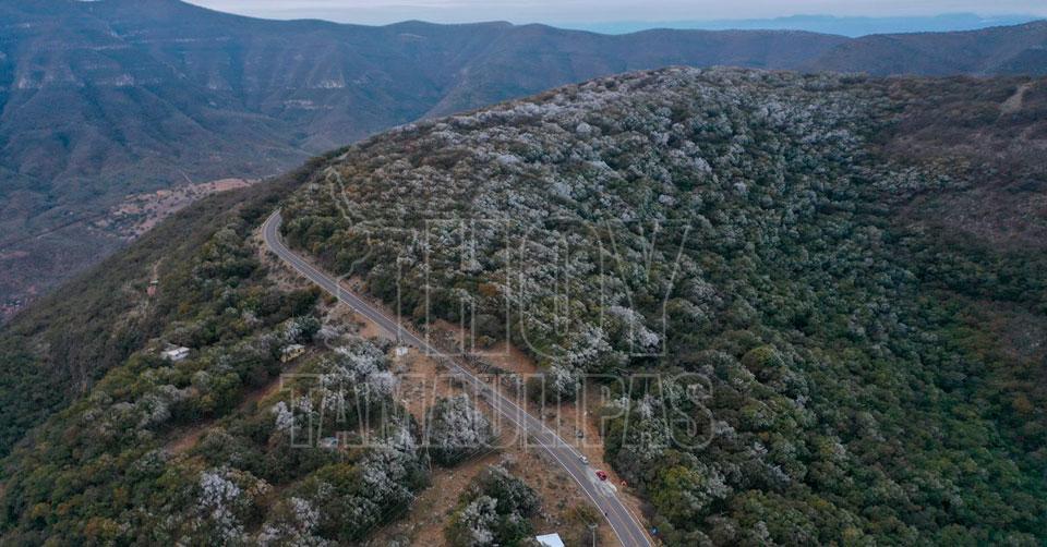 Hoy Tamaulipas - Clima para hoy 05 de febrero de 2022 en Tamaulipas Se  congela Sierra Madre y varias ciudades de Tamaulipas