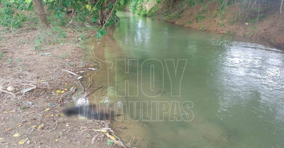 Hoy Tamaulipas - Tamaulipas Cocodrilo ataca al Â“FirulaisÂ” y lo mata en  Padilla