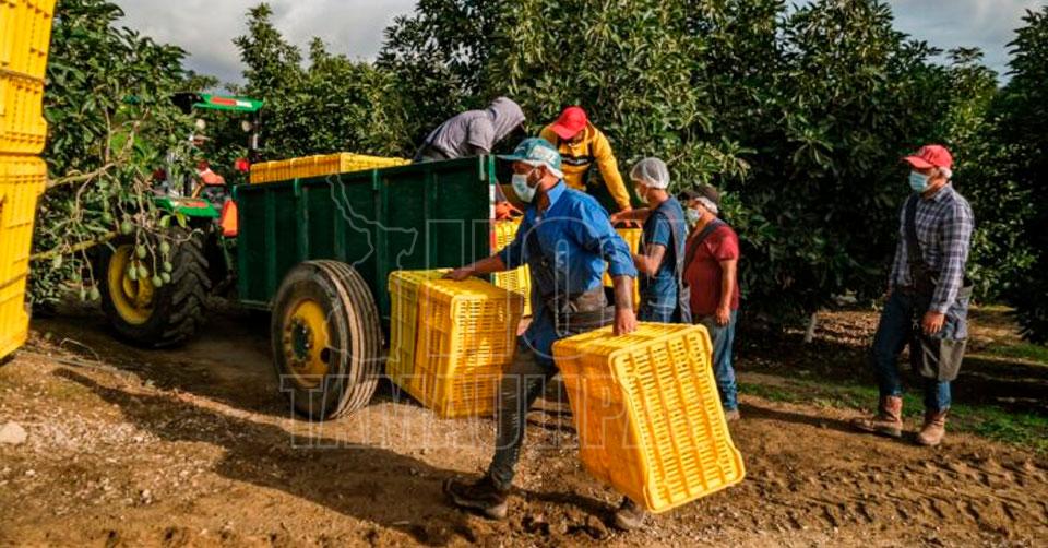 Hoy Tamaulipas Guadalajara Jalisco Segundo En Creacion De Empleos A Nivel Nacional 7819