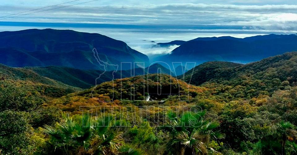 Naturaleza en Tamaulipas